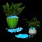 Glow in The Dark Garden Pebbles Stones Rocks for Yard and Walkways Decor, DIY Decorative Luminous Stones in Blue (200 PCS)